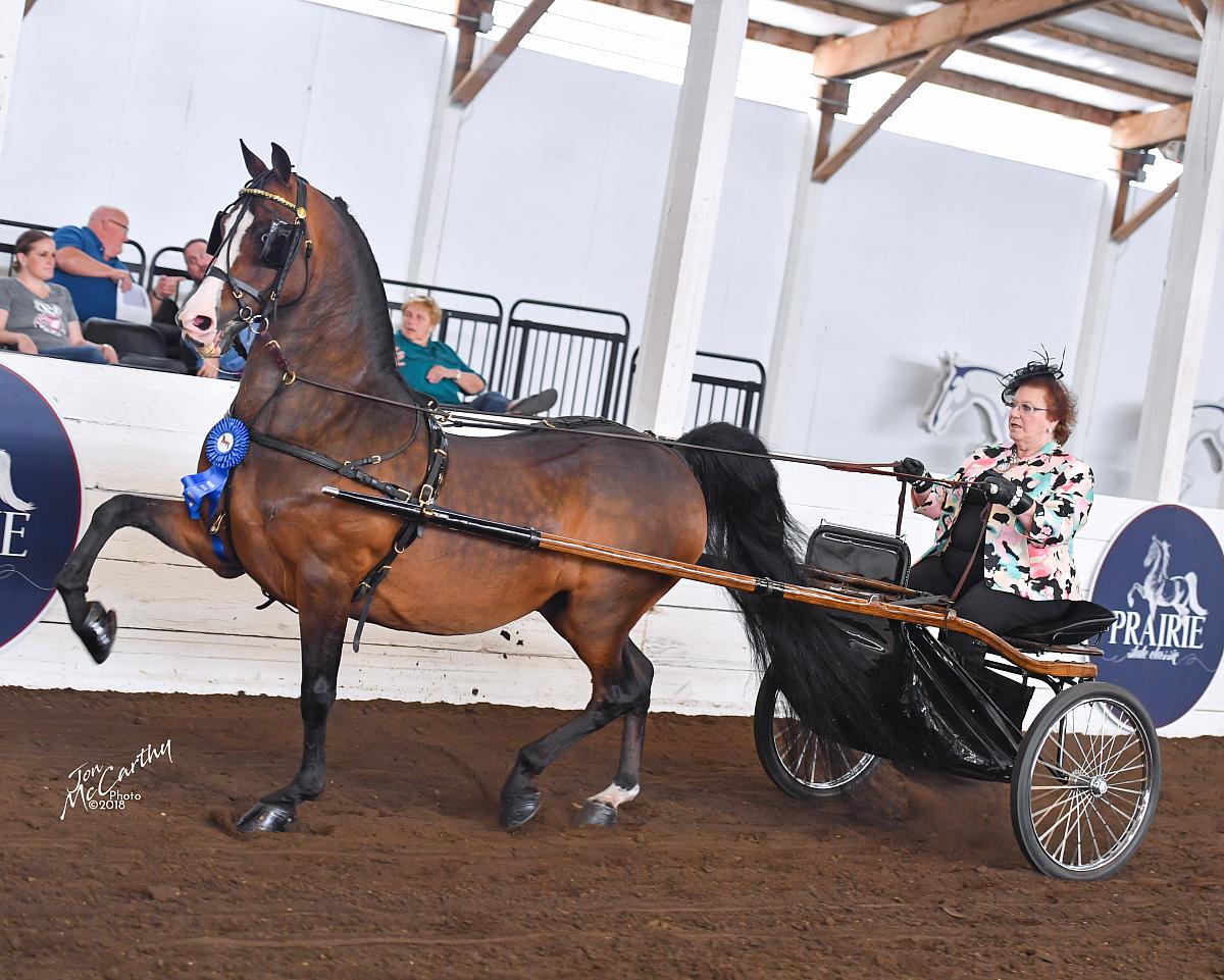 2018 Prairie State Classic Horse Show Proofs 2018 Horse Shows