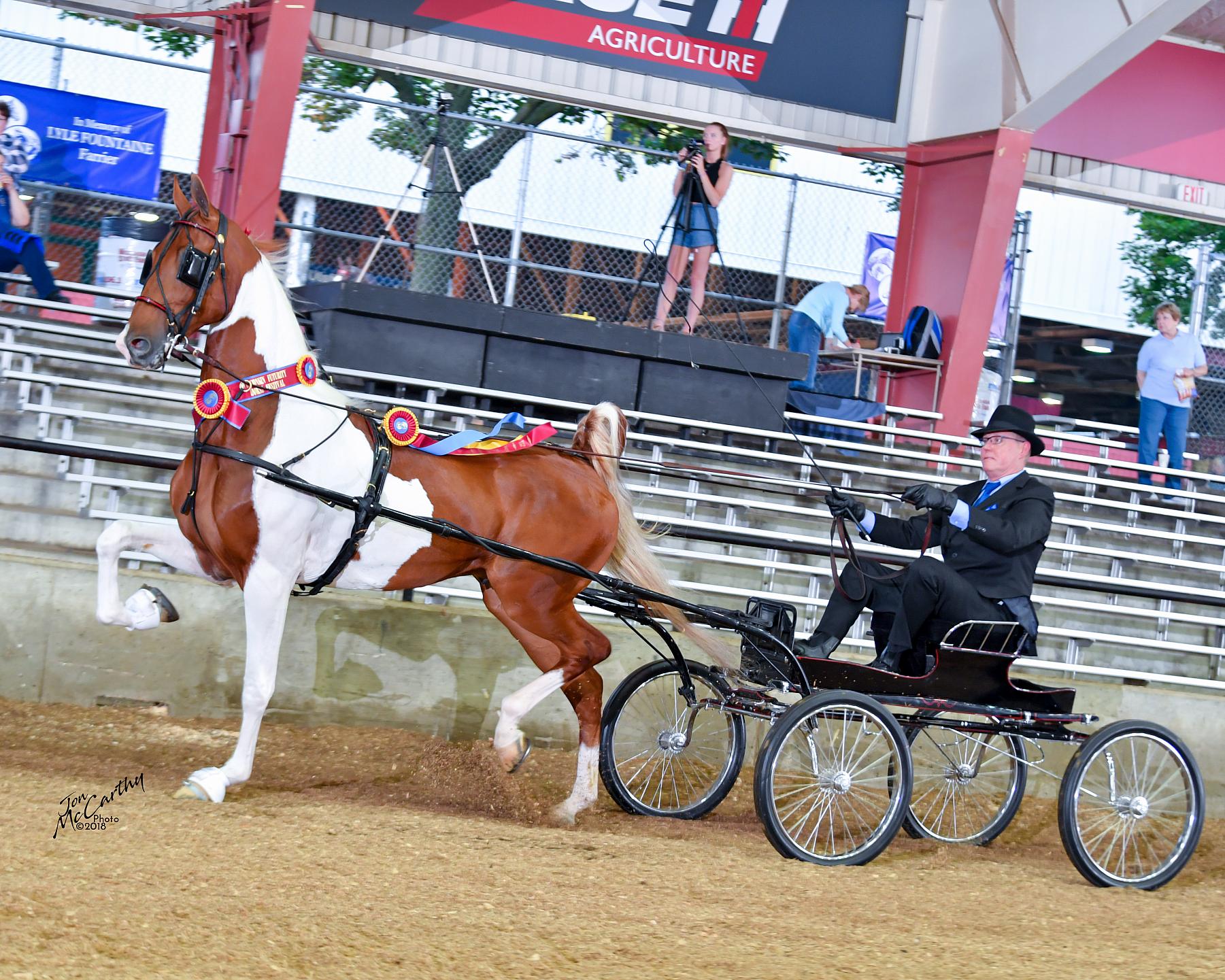 2018 Wisconsin Futurity Horse Show Proofs 2018 Horse Shows