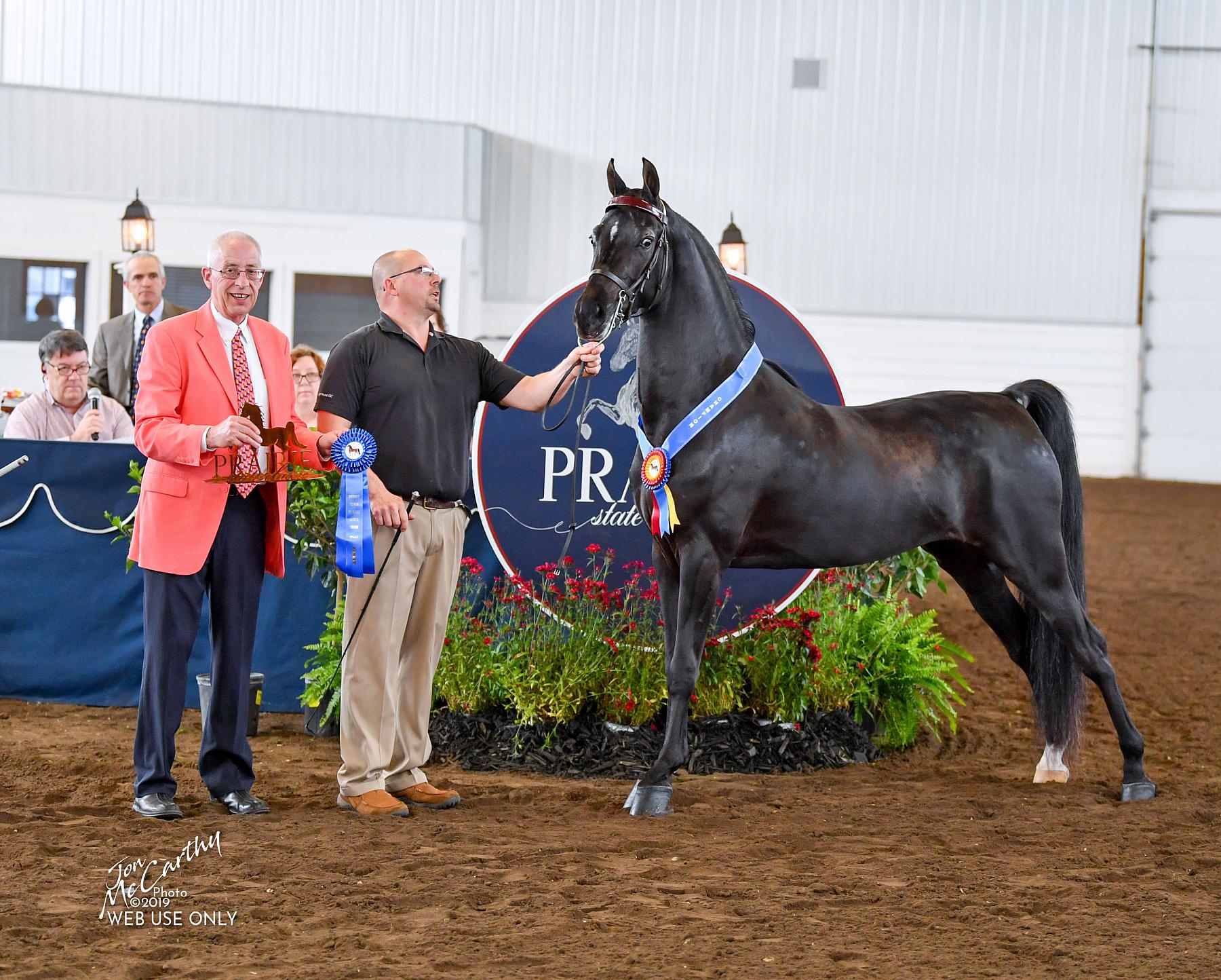 2019 Prairie State Classic Horse Show Proofs 2019 Horse Shows