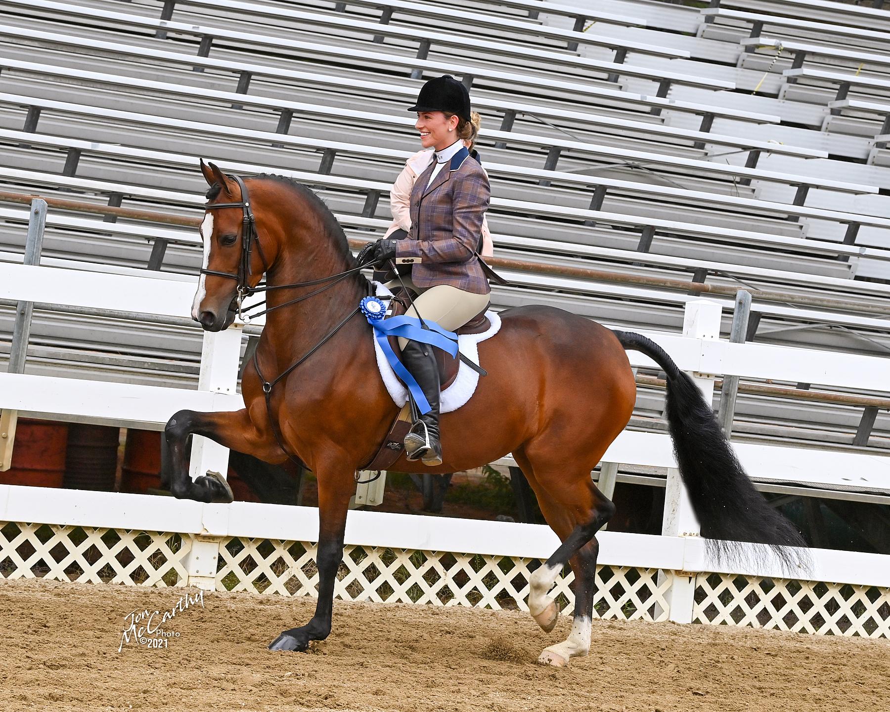 2021 Seacoast Horse Show THURSDAY EVENING JULY 8 Horse