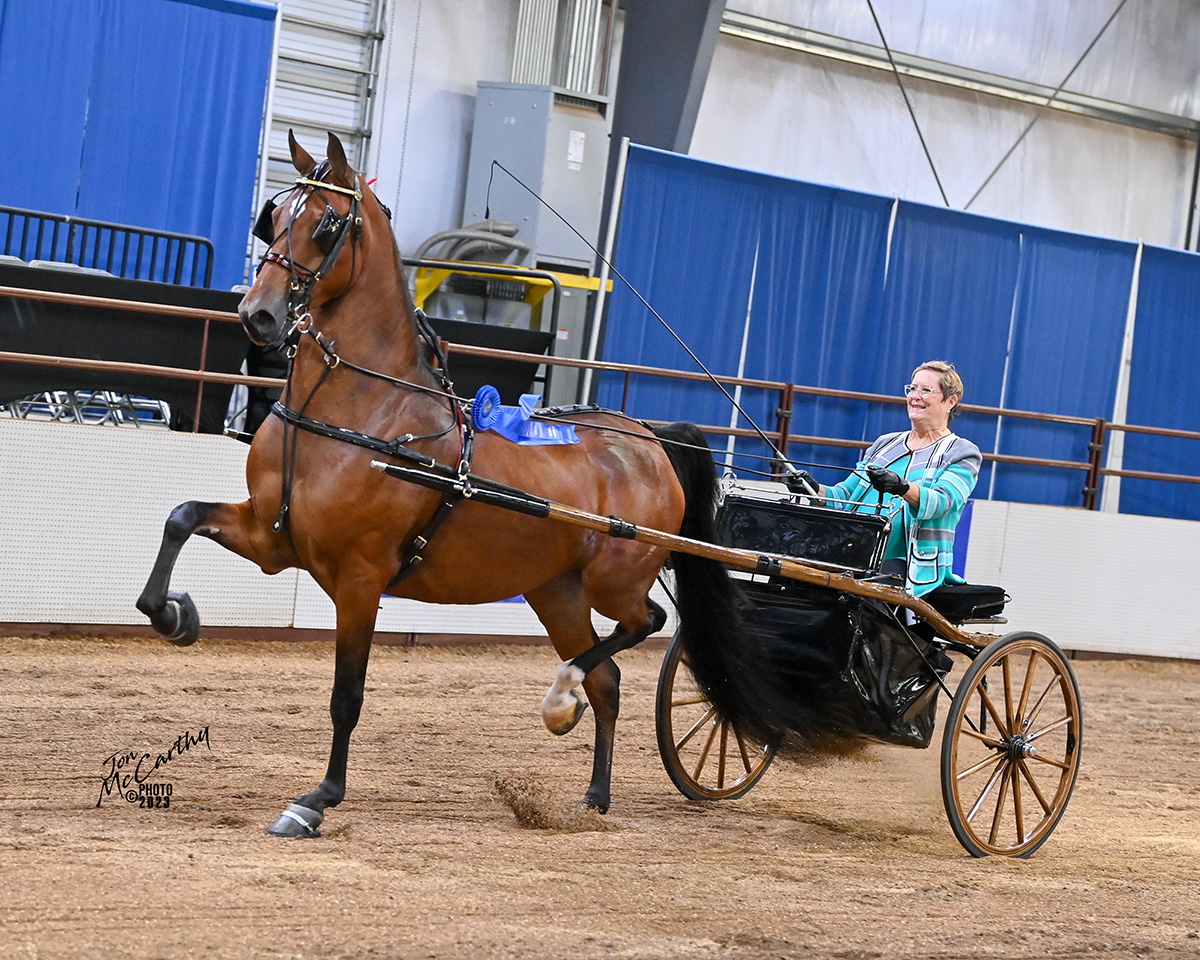 2023 Wisconsin Futurity Horse Show Proofs 2023 Horse Shows